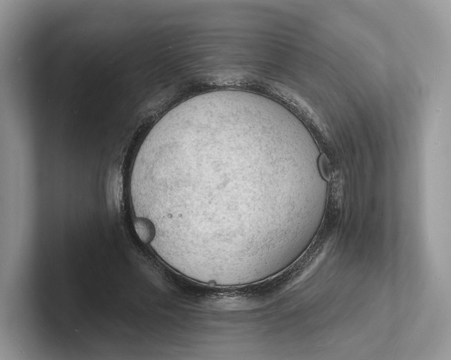 X0000101690589200807311413