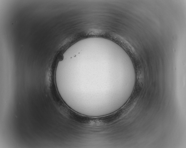 X0000101690591200807311413