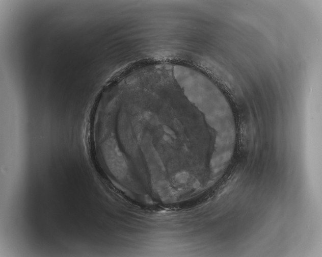 X0000101690592200807311413