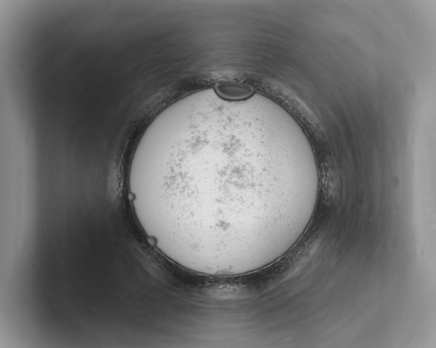 X0000101690593200807311413