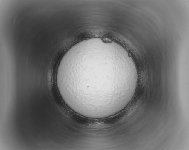 X0000101690594200807311413