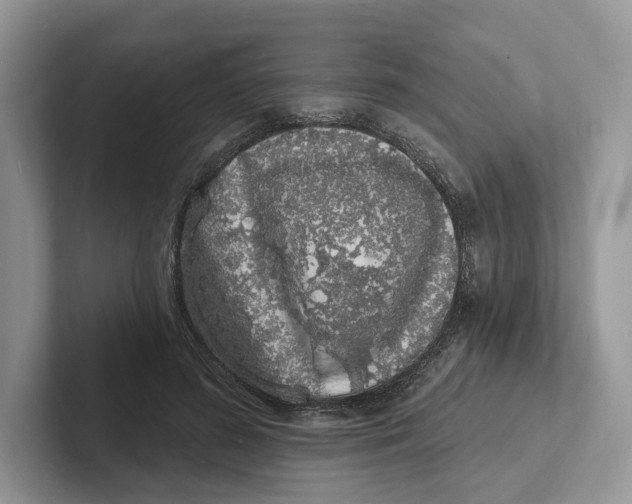 X0000101690596200807311413