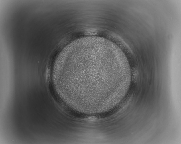 X0000101690598200807311413