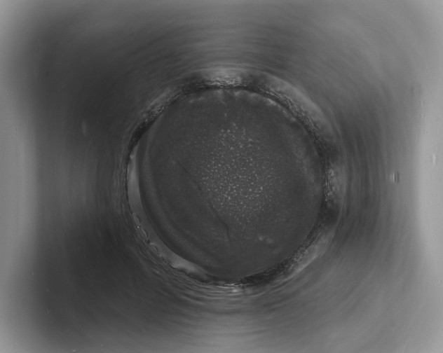 X0000101690600200807311413