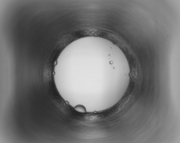 X0000101690602200807311413