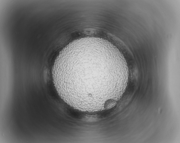 X0000101690606200807311413