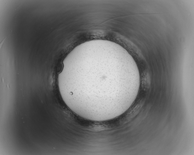 X0000101690608200807311413