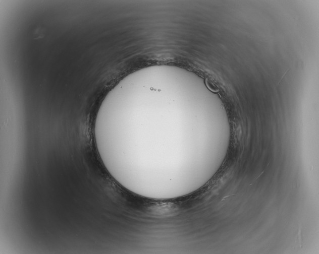 X0000101690609200807311413