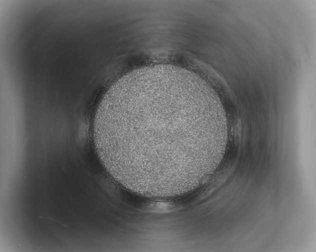 X0000101690610200807311413