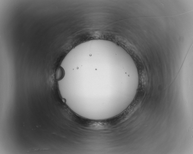 X0000101690611200807311413