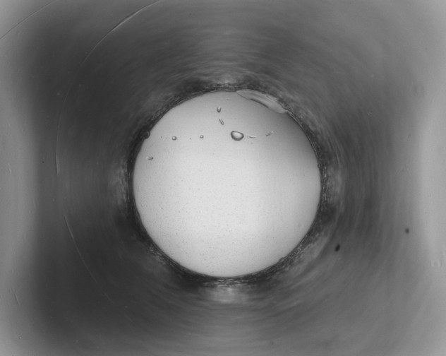 X0000101690612200807311413