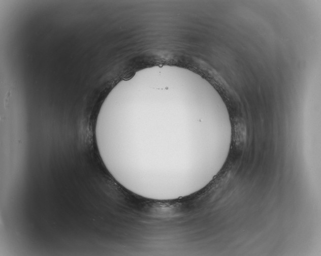 X0000101690613200807311413