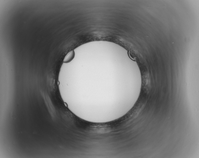 X0000101690615200807311413