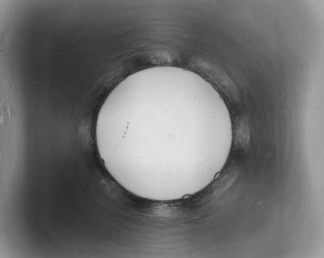 X0000101690616200807311413