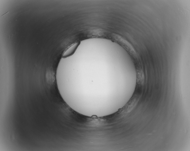 X0000101690621200807311413