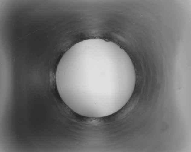 X0000101690624200807311413