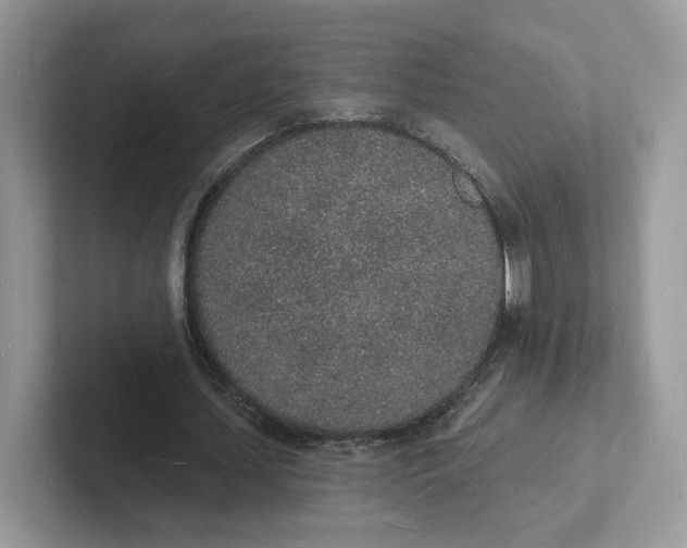 X0000101690627200807311412