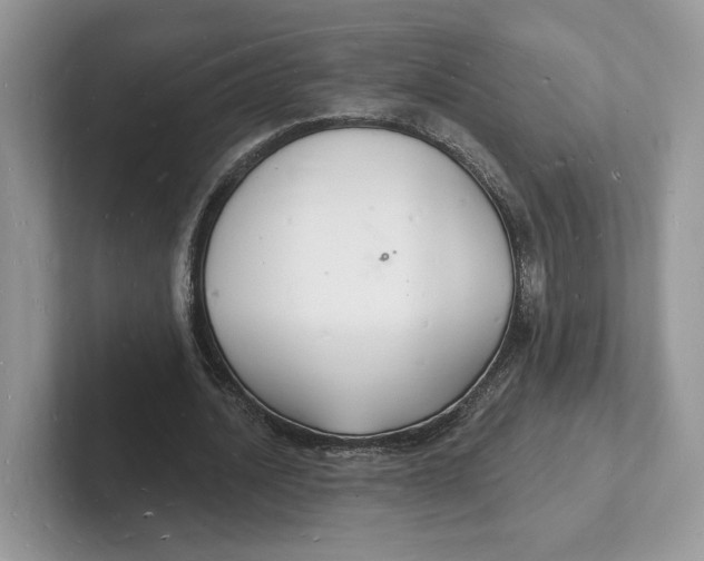 X0000101690628200807311412