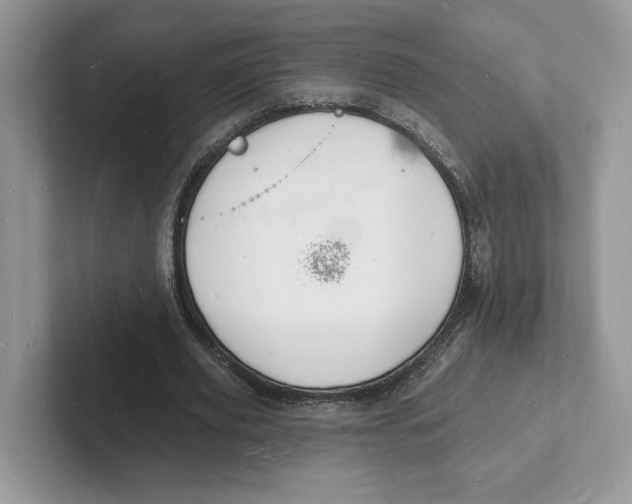 X0000101690629200807311412