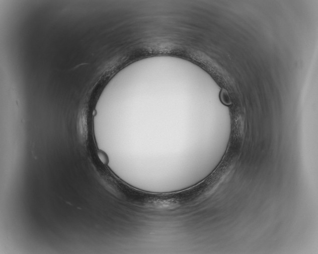 X0000101690638200807311412