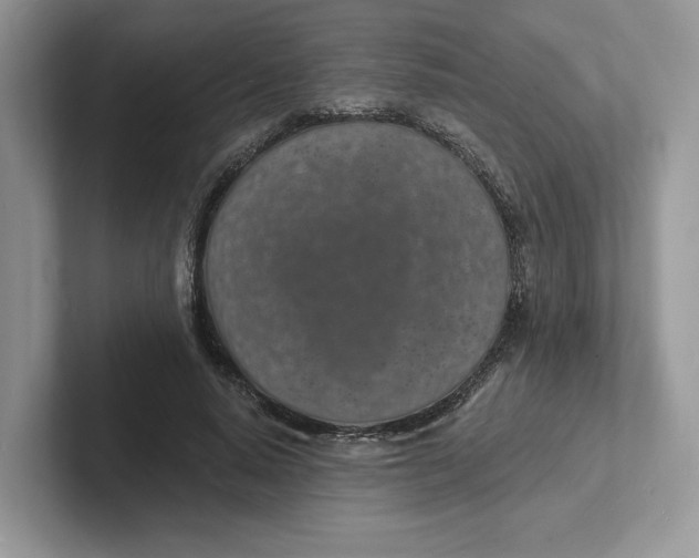 X0000101690640200807311412