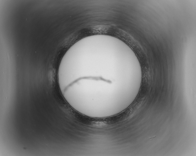 X0000101690649200807311413