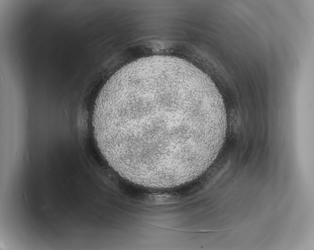 X0000101690650200807311413