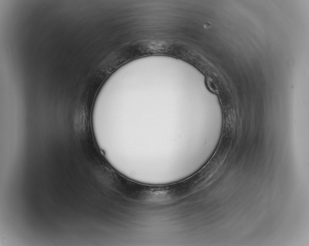 X0000101690651200807311413