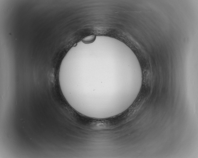 X0000101690655200807311413