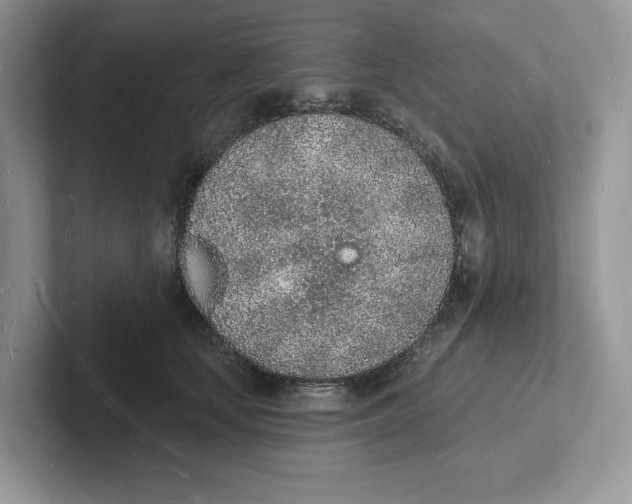 X0000101690659200807311413