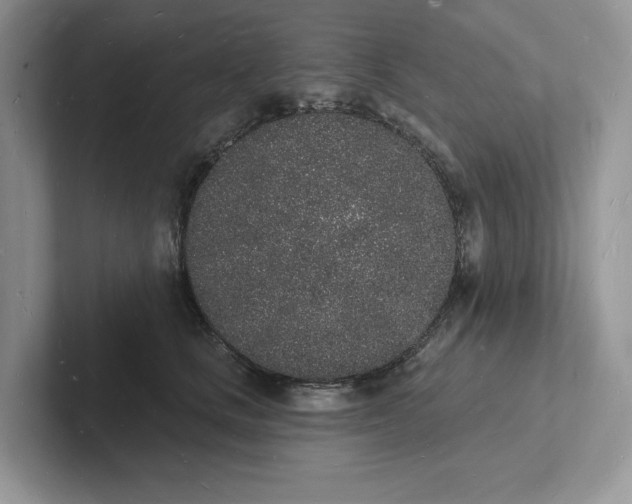 X0000101690661200807311413