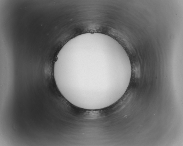 X0000101690665200807311413