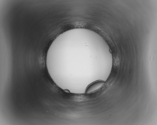 X0000101690666200807311413