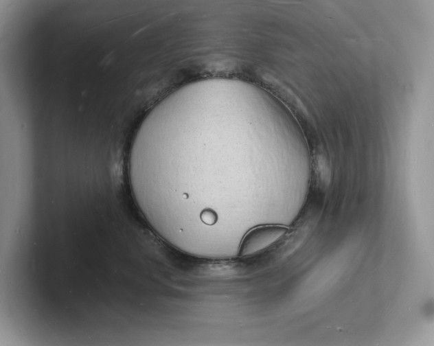 X0000101690668200807311413