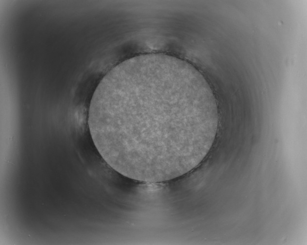 X0000101690672200807311413