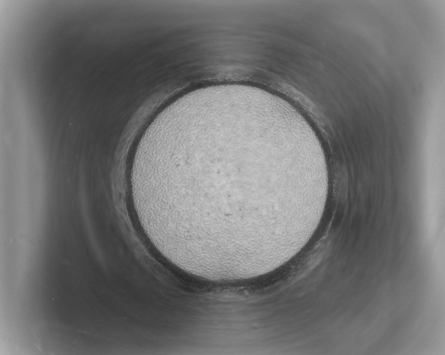 X0000101690673200807311412