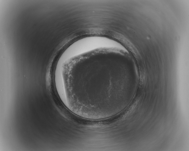 X0000101690674200807311412