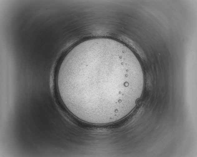 X0000101690677200807311412