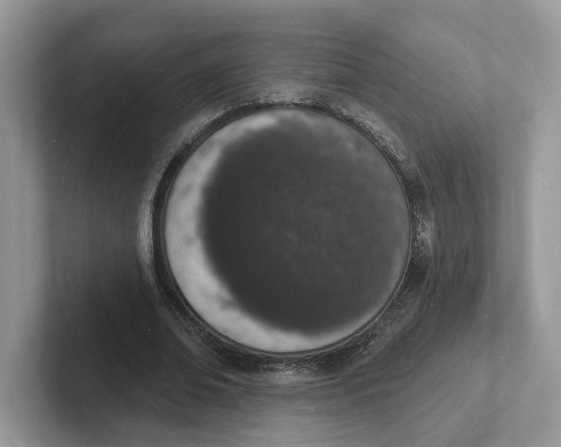 X0000101690678200807311412