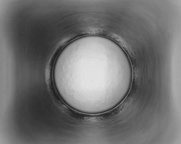 X0000101690679200807311412