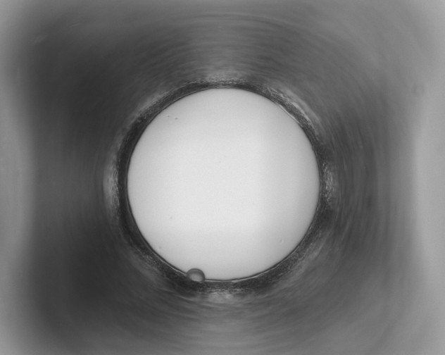 X0000101690684200807311412