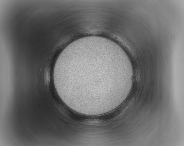 X0000101690685200807311412