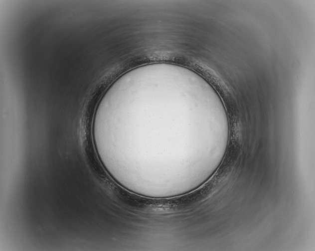 X0000101690687200807311412