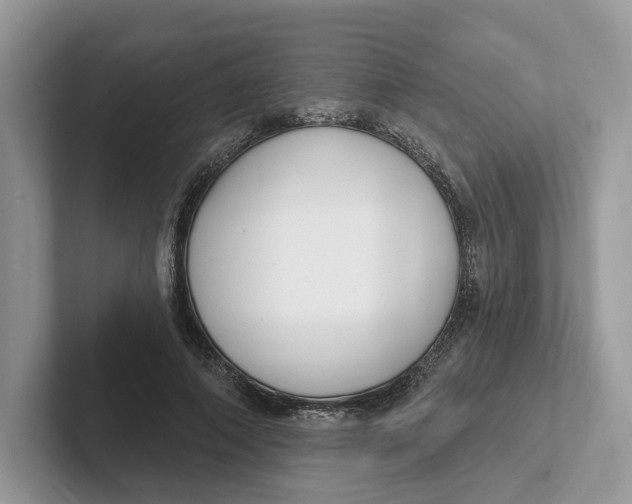 X0000101690690200807311412