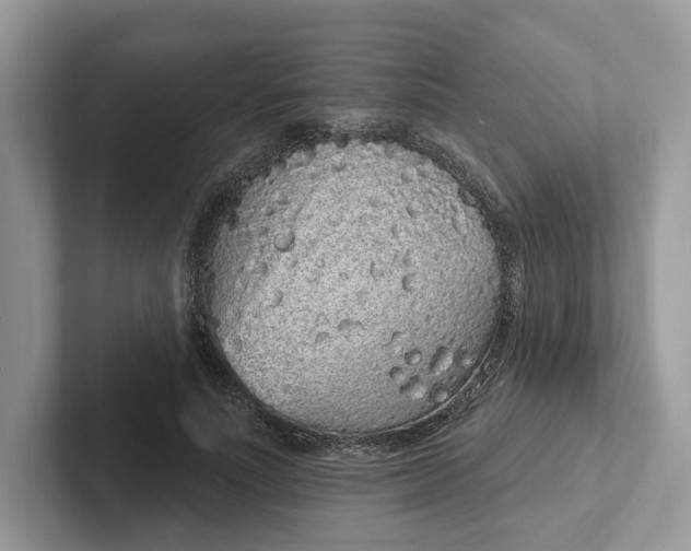 X0000101690691200807311412