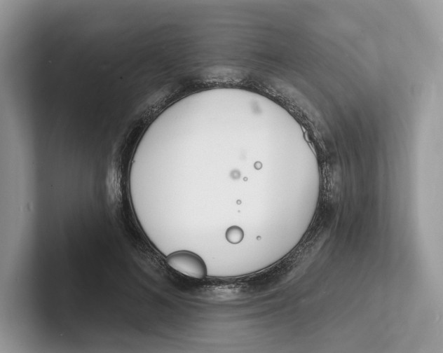 X0000101690692200807311412