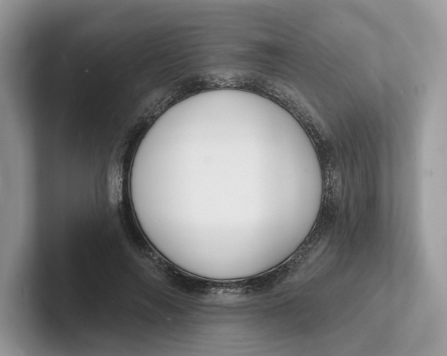 X0000101690694200807311412