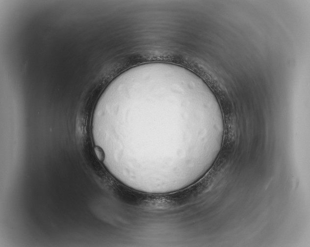 X0000101690695200807311412