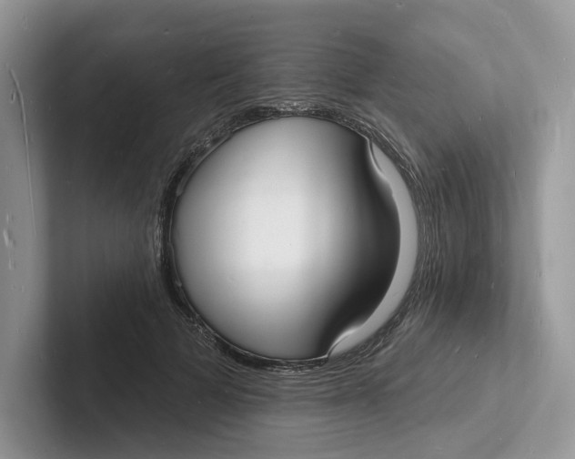 X0000101690697200807311412