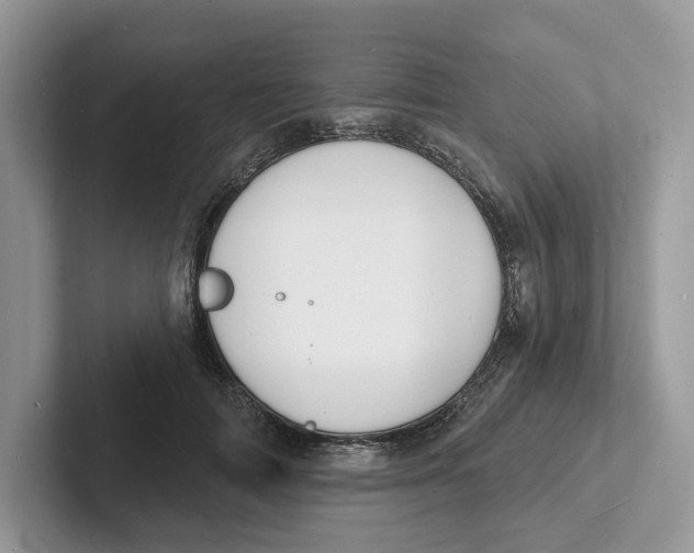 X0000101690698200807311412